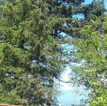 Przy Morzu Villa Jarosławiec Dış mekan fotoğraf