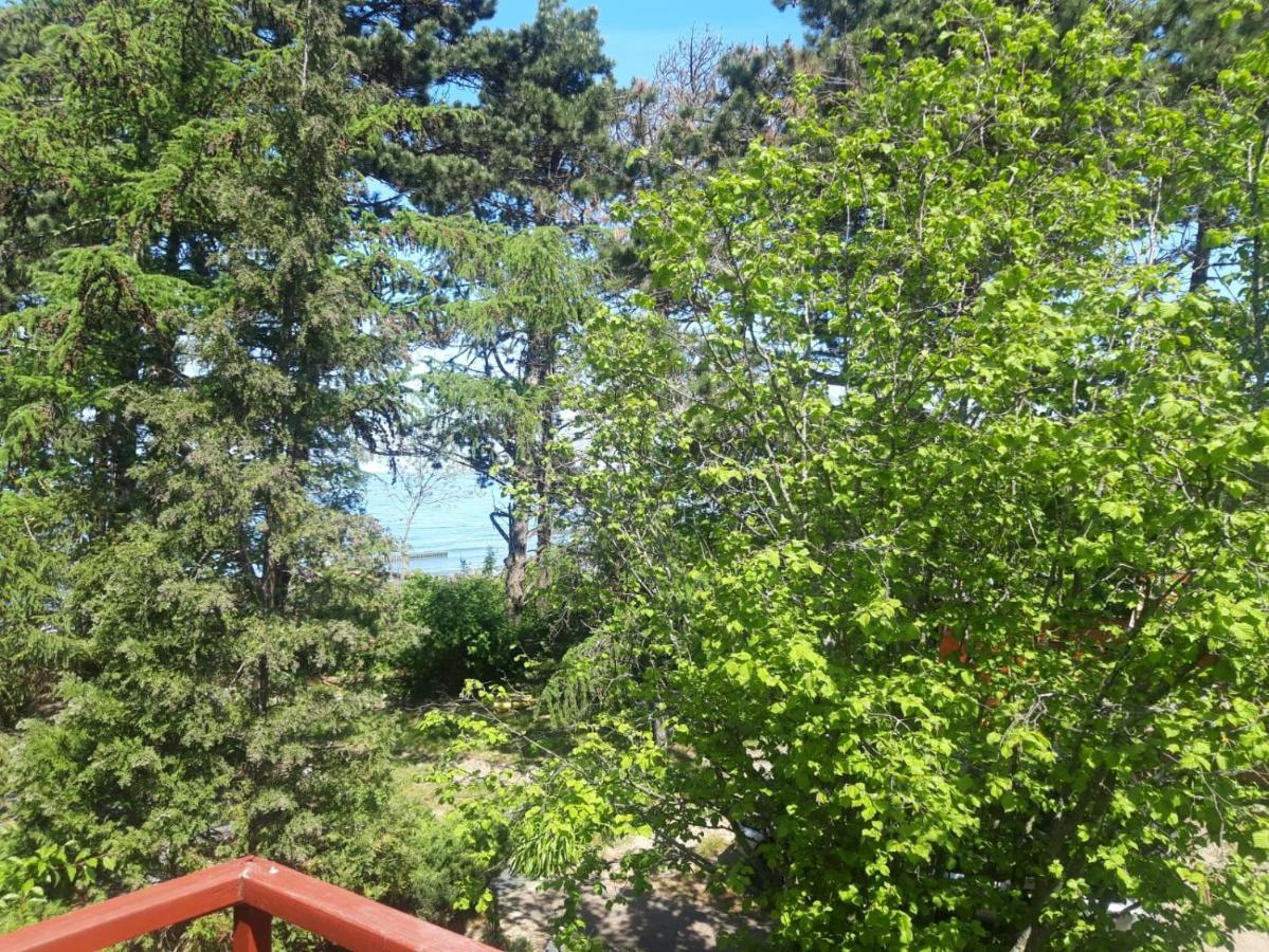 Przy Morzu Villa Jarosławiec Dış mekan fotoğraf