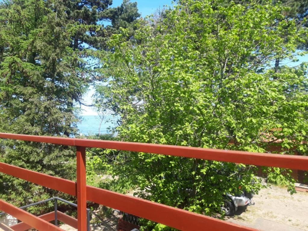 Przy Morzu Villa Jarosławiec Dış mekan fotoğraf